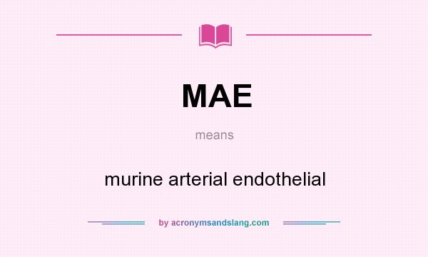 What does MAE mean? It stands for murine arterial endothelial