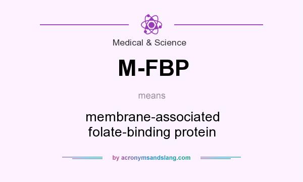 What does M-FBP mean? It stands for membrane-associated folate-binding protein