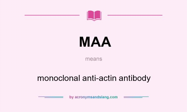 What does MAA mean? It stands for monoclonal anti-actin antibody