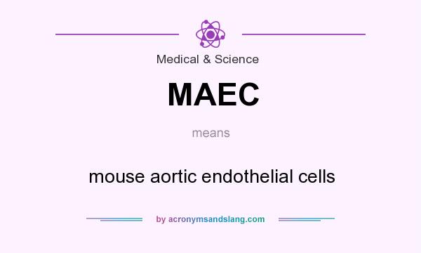 What does MAEC mean? It stands for mouse aortic endothelial cells