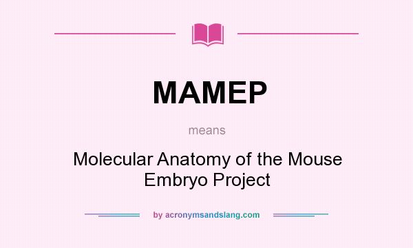 What does MAMEP mean? It stands for Molecular Anatomy of the Mouse Embryo Project