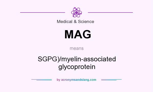 What does MAG mean? It stands for SGPG)/myelin-associated glycoprotein