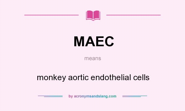 What does MAEC mean? It stands for monkey aortic endothelial cells