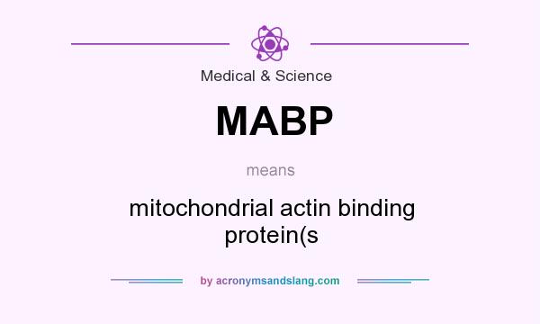 What does MABP mean? It stands for mitochondrial actin binding protein(s