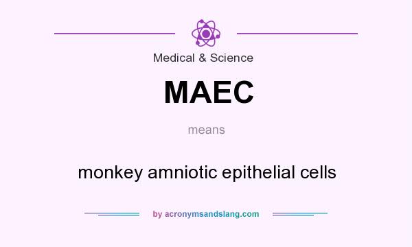 What does MAEC mean? It stands for monkey amniotic epithelial cells