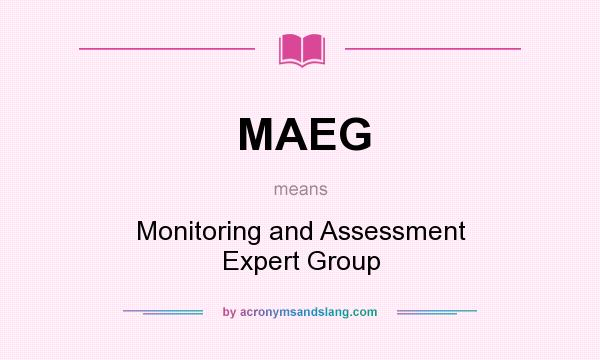 What does MAEG mean? It stands for Monitoring and Assessment Expert Group