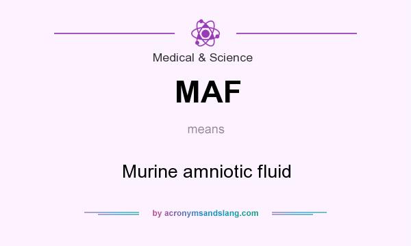 What does MAF mean? It stands for Murine amniotic fluid