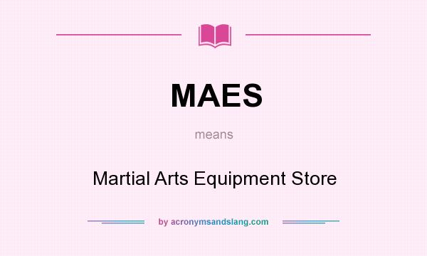 What does MAES mean? It stands for Martial Arts Equipment Store