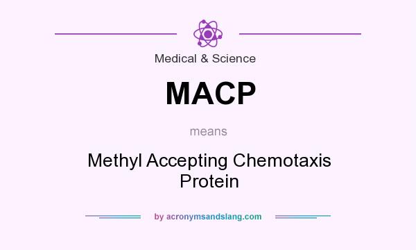 What does MACP mean? It stands for Methyl Accepting Chemotaxis Protein