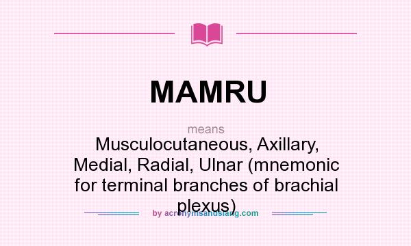 What does MAMRU mean? It stands for Musculocutaneous, Axillary, Medial, Radial, Ulnar (mnemonic for terminal branches of brachial plexus)