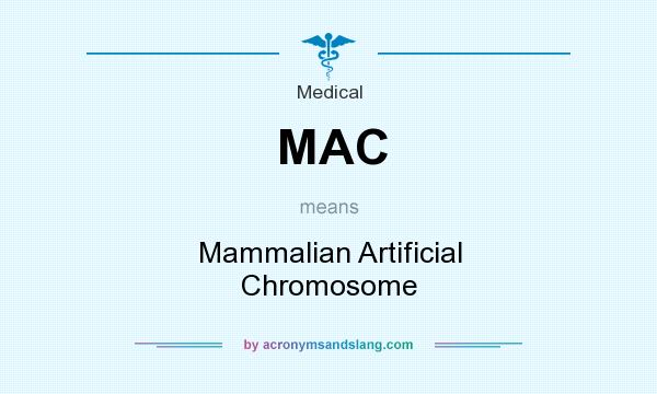 What does MAC mean? It stands for Mammalian Artificial Chromosome