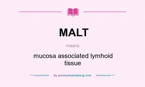 What does MALT mean? It stands for mucosa associated lymhoid tissue