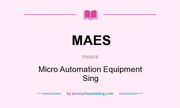 What does MAES mean? It stands for Micro Automation Equipment Sing