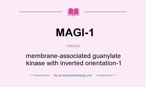 What does MAGI-1 mean? It stands for membrane-associated guanylate kinase with inverted orientation-1