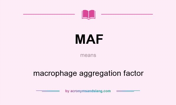 What does MAF mean? It stands for macrophage aggregation factor