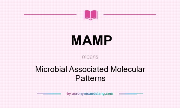 What does MAMP mean? It stands for Microbial Associated Molecular Patterns