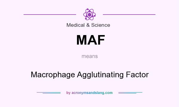 What does MAF mean? It stands for Macrophage Agglutinating Factor