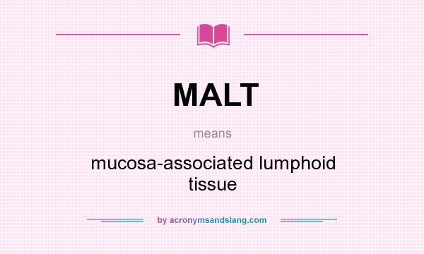 What does MALT mean? It stands for mucosa-associated lumphoid tissue
