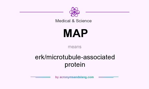 What does MAP mean? It stands for erk/microtubule-associated protein