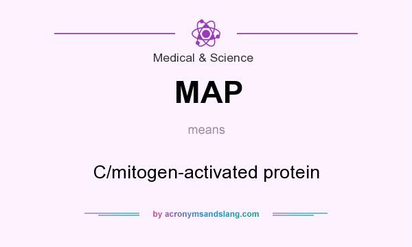 What does MAP mean? It stands for C/mitogen-activated protein