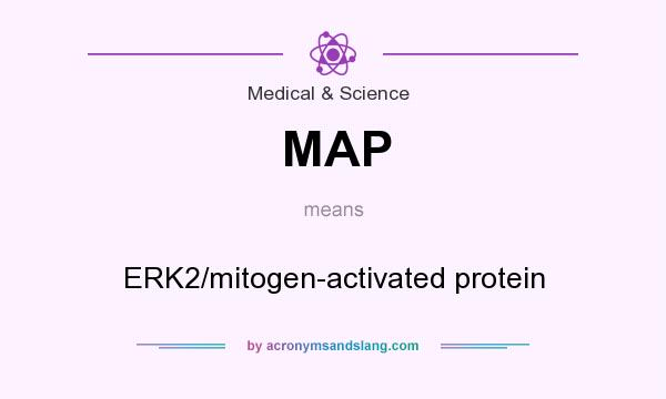 What does MAP mean? It stands for ERK2/mitogen-activated protein