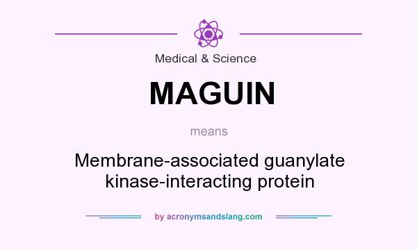 What does MAGUIN mean? It stands for Membrane-associated guanylate kinase-interacting protein