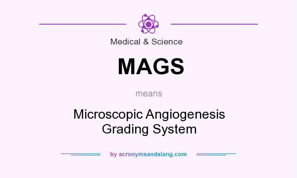 What does MAGS mean? It stands for Microscopic Angiogenesis Grading System