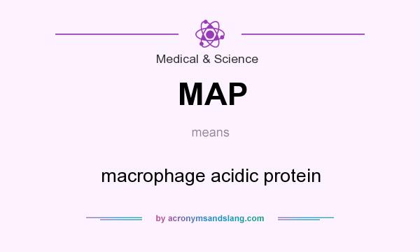 What does MAP mean? It stands for macrophage acidic protein