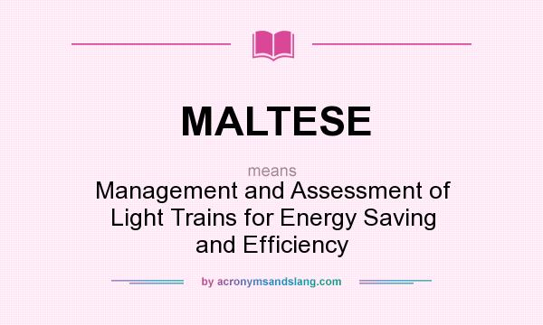 What does MALTESE mean? It stands for Management and Assessment of Light Trains for Energy Saving and Efficiency