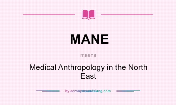 What does MANE mean? It stands for Medical Anthropology in the North East