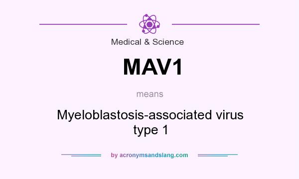 What does MAV1 mean? It stands for Myeloblastosis-associated virus type 1