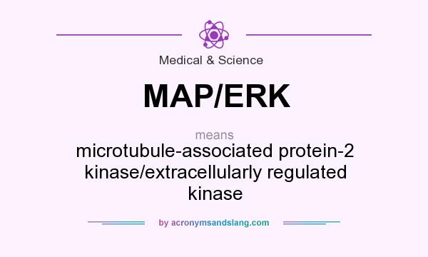 What does MAP/ERK mean? It stands for microtubule-associated protein-2 kinase/extracellularly regulated kinase