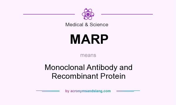 What does MARP mean? It stands for Monoclonal Antibody and Recombinant Protein
