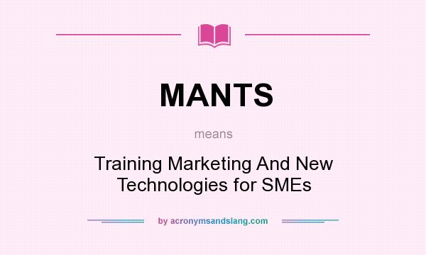 What does MANTS mean? It stands for Training Marketing And New Technologies for SMEs