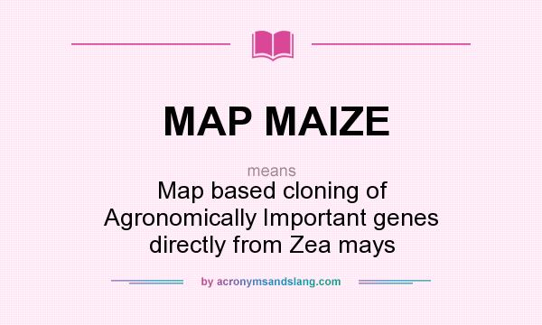 What does MAP MAIZE mean? It stands for Map based cloning of Agronomically Important genes directly from Zea mays