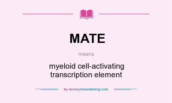 What does MATE mean? It stands for myeloid cell-activating transcription element