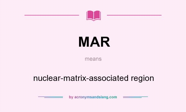 What does MAR mean? It stands for nuclear-matrix-associated region