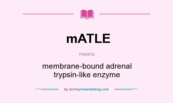 What does mATLE mean? It stands for membrane-bound adrenal trypsin-like enzyme