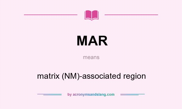 What does MAR mean? It stands for matrix (NM)-associated region