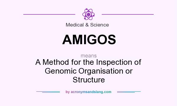 What does AMIGOS mean? It stands for A Method for the Inspection of Genomic Organisation or Structure