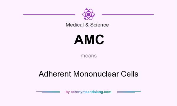 What does AMC mean? It stands for Adherent Mononuclear Cells