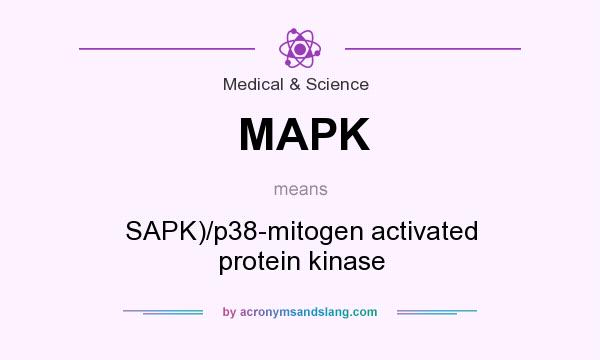 What does MAPK mean? It stands for SAPK)/p38-mitogen activated protein kinase