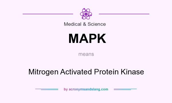 What does MAPK mean? It stands for Mitrogen Activated Protein Kinase