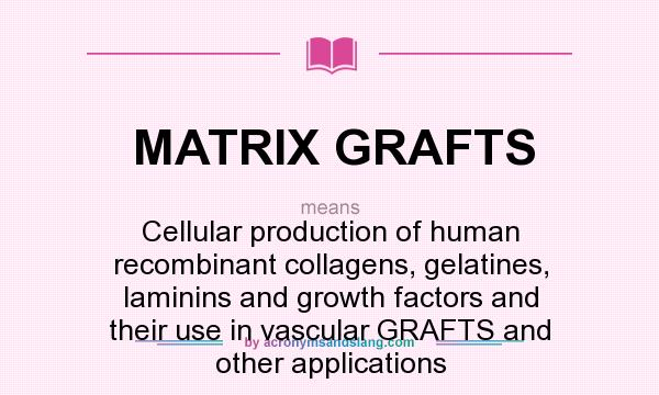 What does MATRIX GRAFTS mean? It stands for Cellular production of human recombinant collagens, gelatines, laminins and growth factors and their use in vascular GRAFTS and other applications