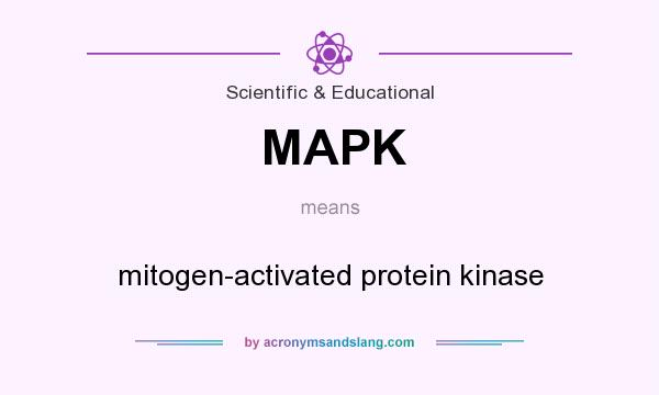 What does MAPK mean? It stands for mitogen-activated protein kinase