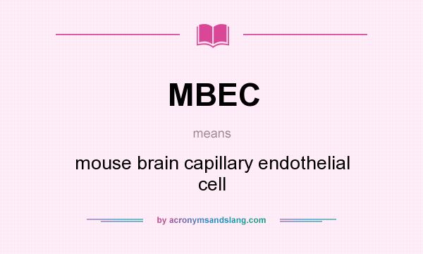 What does MBEC mean? It stands for mouse brain capillary endothelial cell