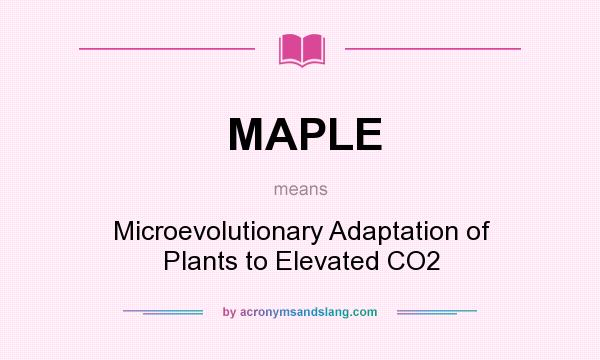 What does MAPLE mean? It stands for Microevolutionary Adaptation of Plants to Elevated CO2