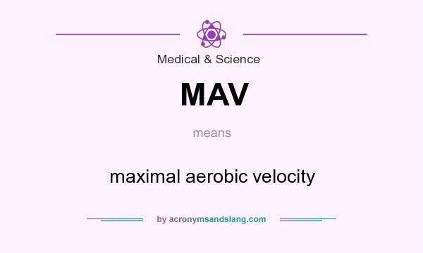 What does MAV mean? It stands for maximal aerobic velocity