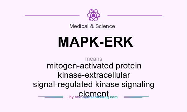 What does MAPK-ERK mean? It stands for mitogen-activated protein kinase-extracellular signal-regulated kinase signaling element