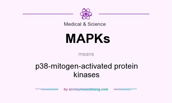 What does MAPKs mean? It stands for p38-mitogen-activated protein kinases